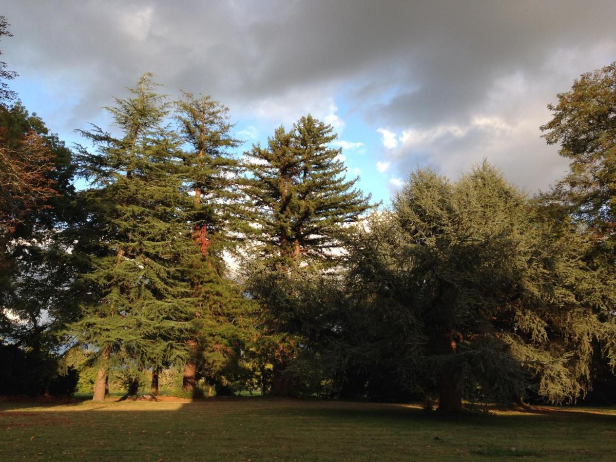 Vila La Sabatiere Bergerac Exteriér fotografie